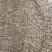 金花100无籽西瓜——麒麟无籽西瓜新品种个大，瓤大红