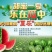 麒麟西瓜美都夏县西瓜甜蜜蜜8424代收一件起批全国包邮