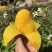 【聚划算】海南贵妃芒红金龙芒果一件代发批发平台代发