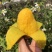 【聚划算】海南贵妃芒红金龙芒果一件代发批发平台代发