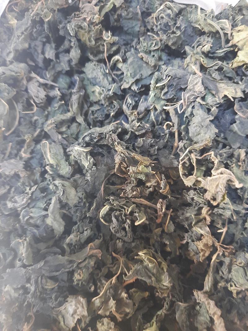 桑叶，霜桑叶，纯野生无杂质，优质精选，
