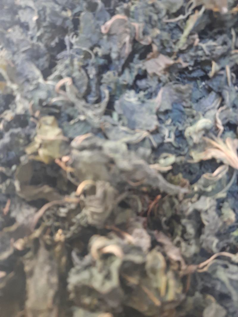 桑叶，霜桑叶，纯野生无杂质，优质精选，