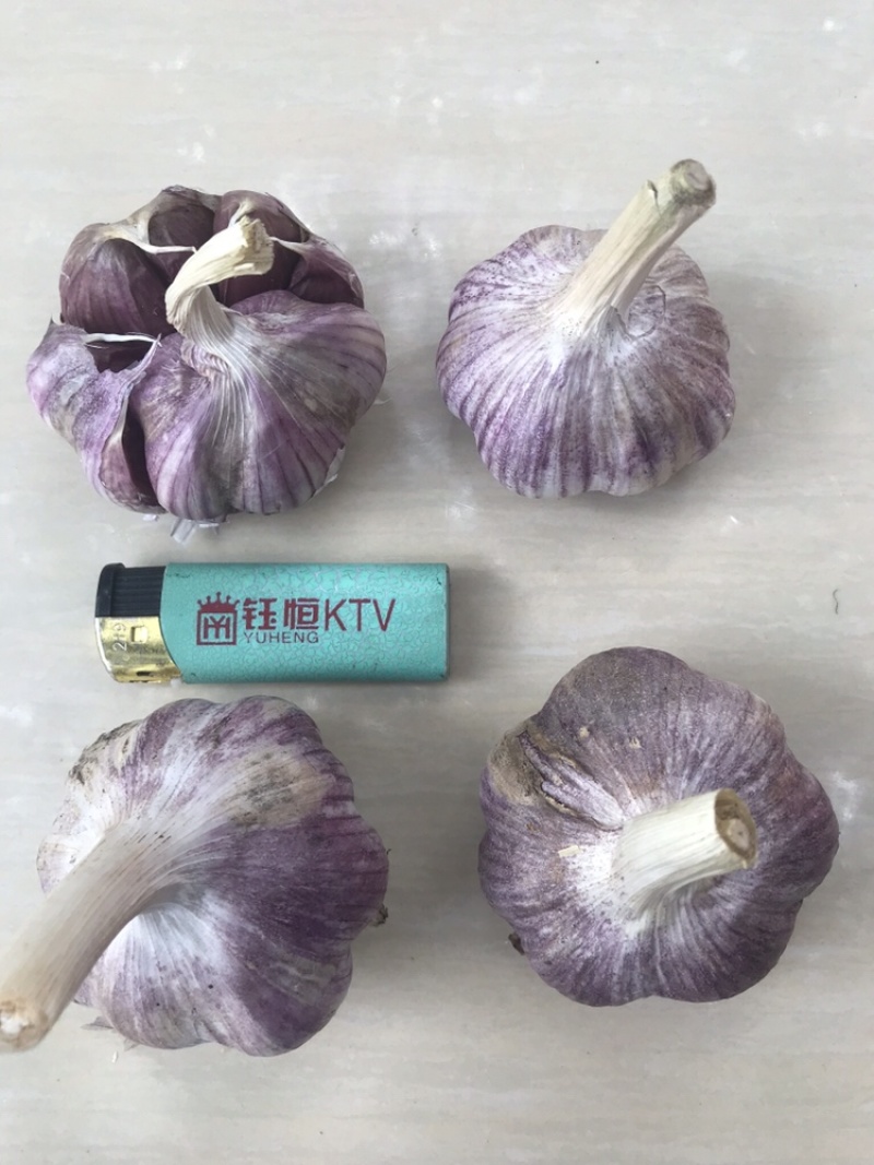 云南大蒜🧄红香蒜，分蒜