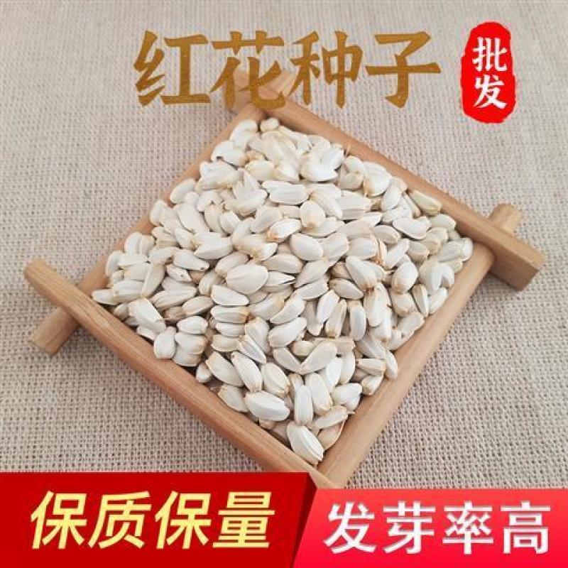 红花种子材藏红花种子新疆产草红花籽草红花籽红花可入