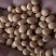 2024新黄豆中等，做豆腐，豆花，豆干的优质原材料。
