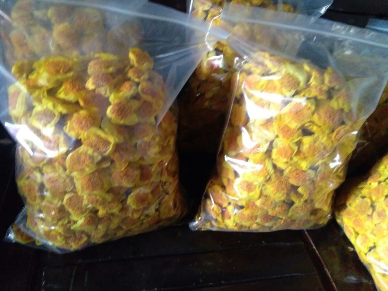 金花茶防普金花茶烘干花