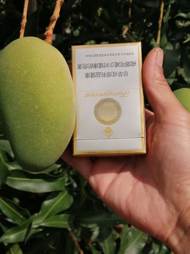 海南热带水果代办代发