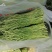 芦蒿批发、零售、服务