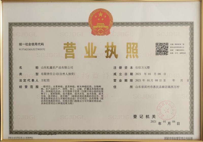优质大叶菠菜29-25公分，代办服务让您简单又快捷