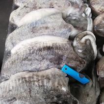 墨鱼马来西亚双鱼牌金鱼牌一手货源品质保证