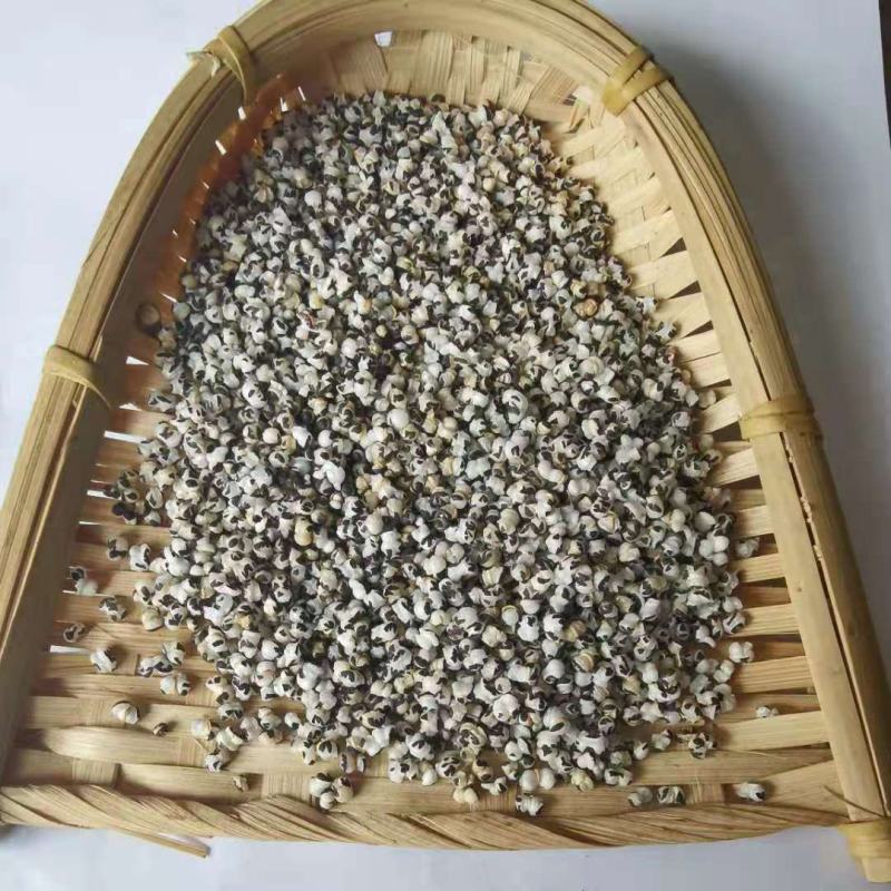 王不留中药材批发炒王不留