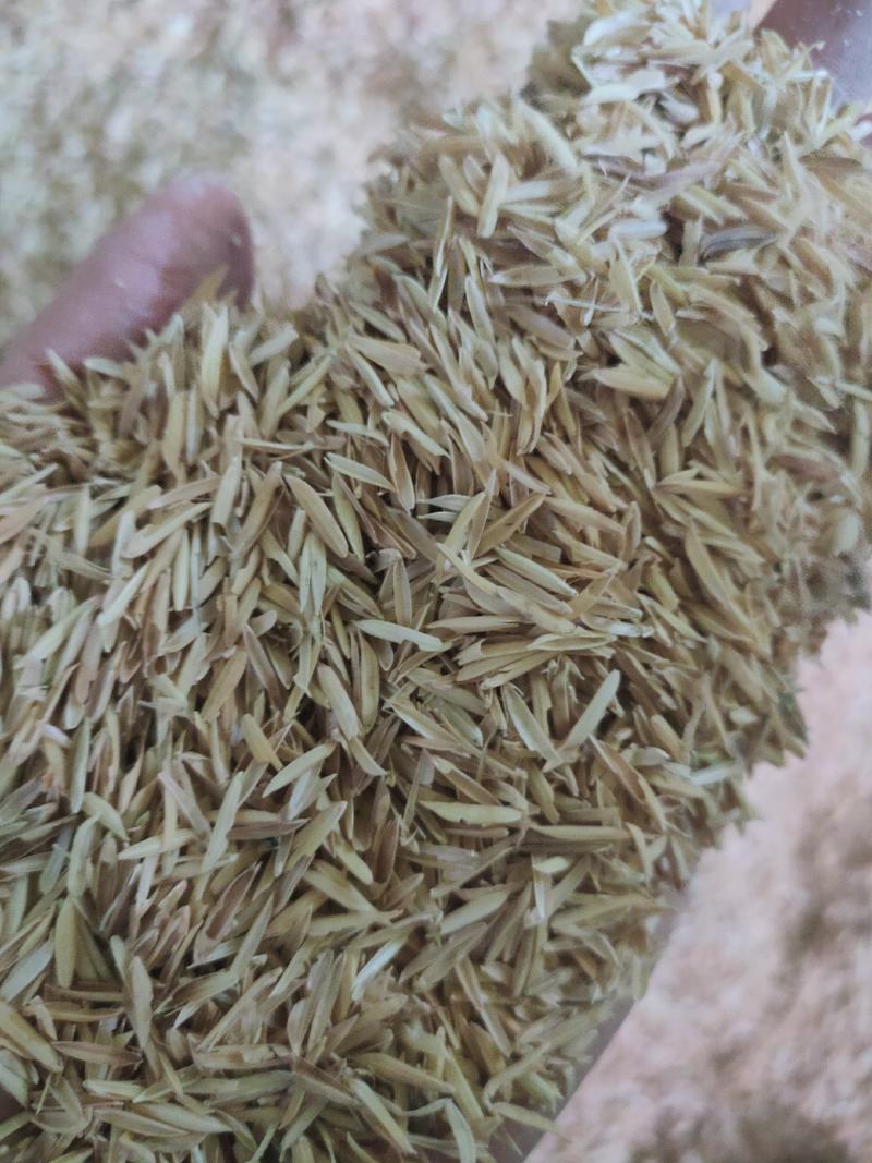 稻壳谷壳广西桂林厂家直销日产80吨，每包24到30斤