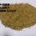 紫花苜蓿种子甘肃苜蓿籽批发苜蓿草种子发芽率好