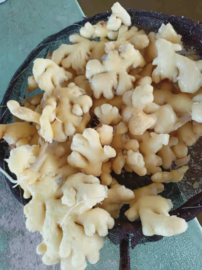 泡姜！云南罗平优质小黄姜，工厂直销，品质优，价格美丽