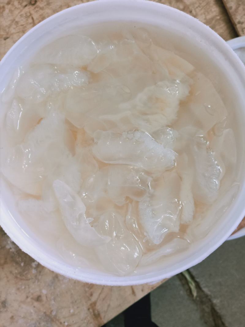 海蜇海蜇头白花叶片大量现货产地直发