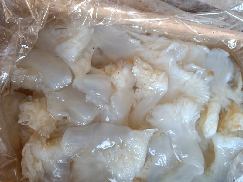 海蜇海蜇头白花叶片大量现货产地直发