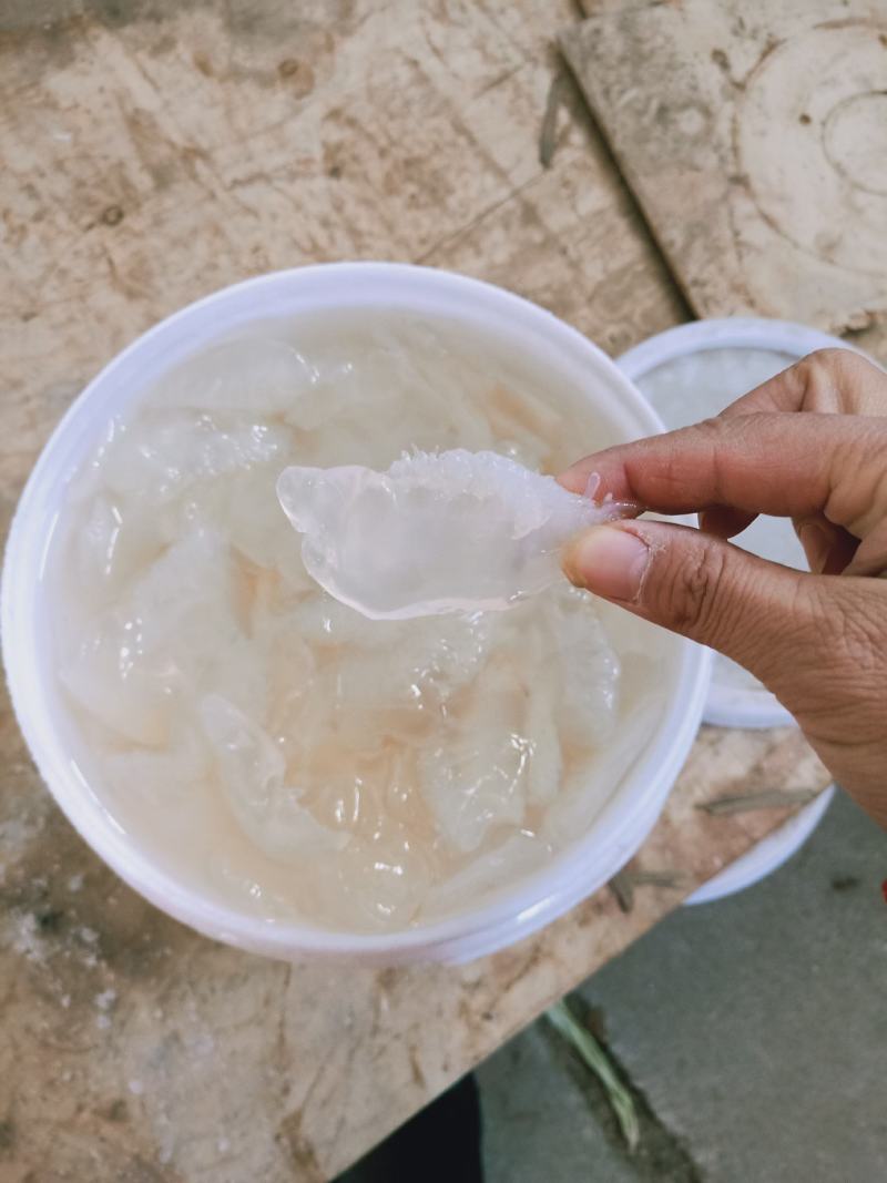 海蜇海蜇头白花叶片大量现货产地直发