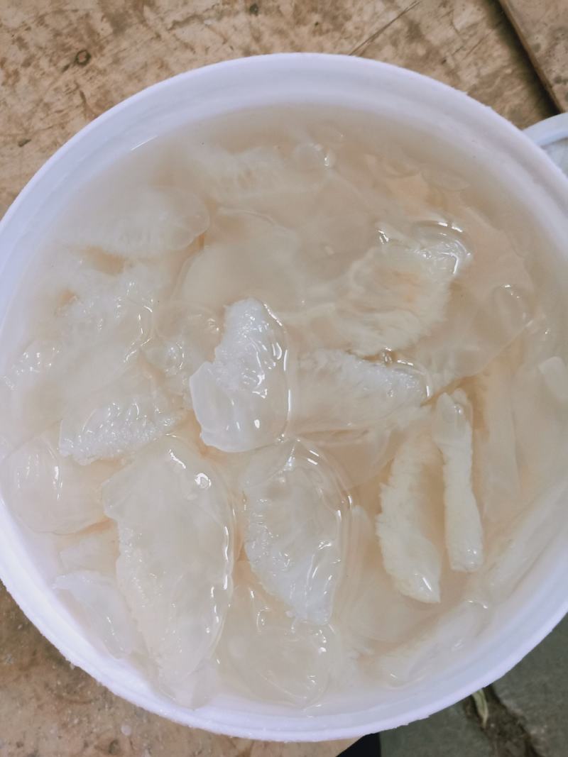 海蜇海蜇头白花叶片大量现货产地直发