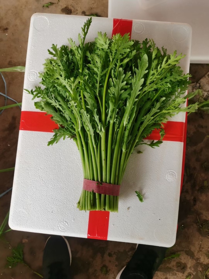 优质邯郸永年茼蒿大量供应，产地直供保证新鲜！