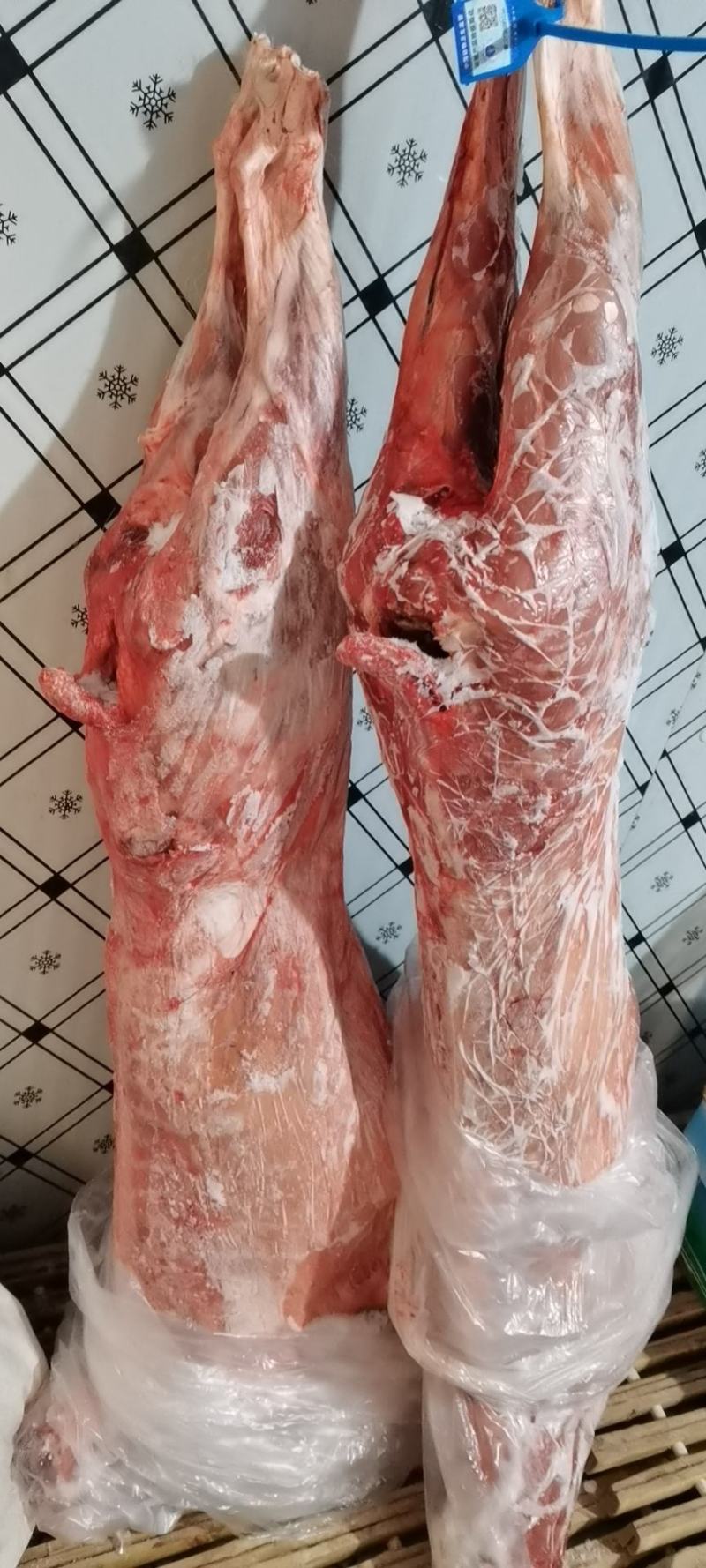 内蒙古临河羊酮体近期货