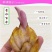 荷兰百合【速生生长速度开花快】适合南方北方种植