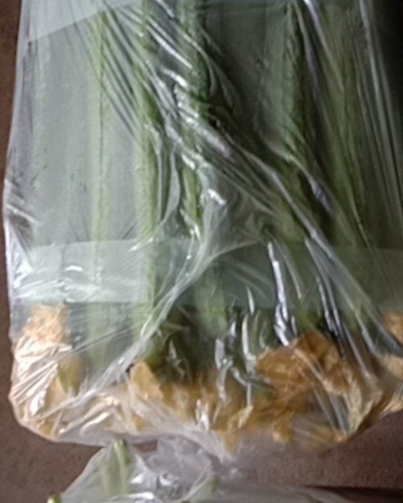 精品绿色中绿鲜花丝瓜！