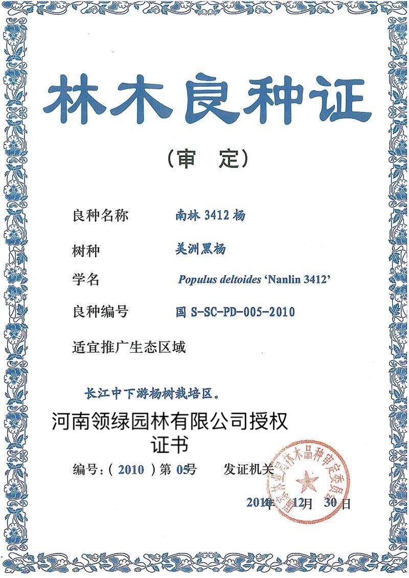 杨树南林3412无絮杨1到3公分及种段包回收欢迎咨询