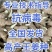 浙江姜种产地直销亩产过万专业技术指导全国发货