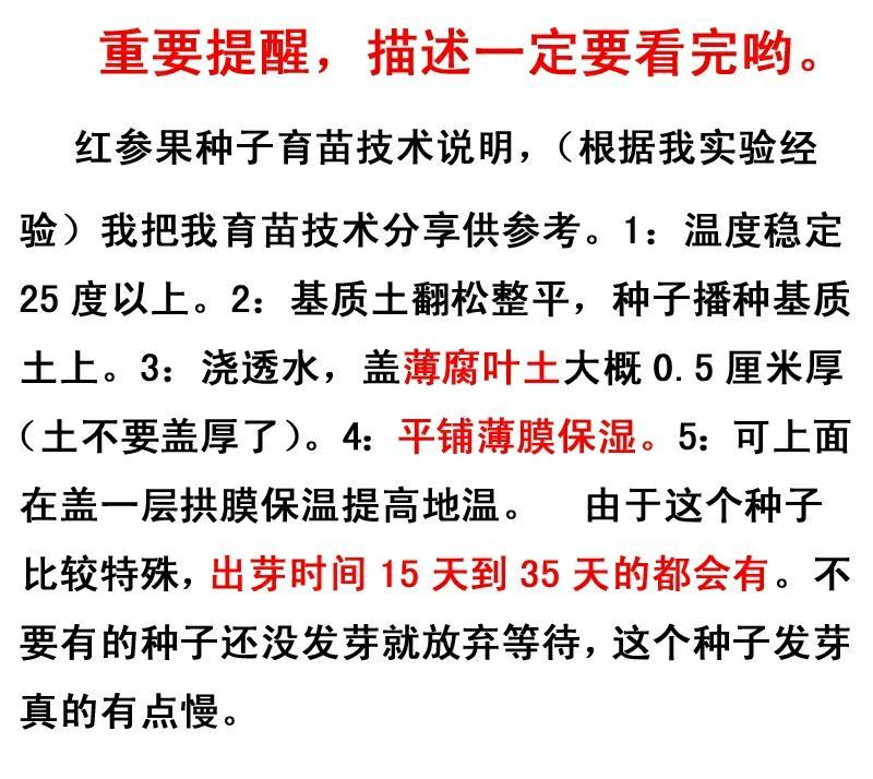 红参果苗火蜜果苗红香果苗新奇稀有水果苗红香果苗