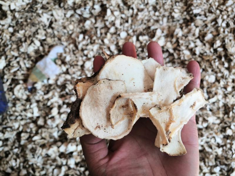 优质魔芋片魔芋精粉，优质花魔芋干片可做魔芋豆腐，代餐粉