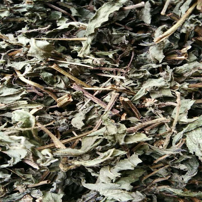 【牛商推荐】旱莲草墨旱莲旱无土吸尘一公斤起批带抓药方