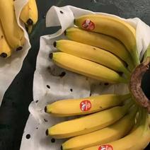 盘锦大洼进口菲律宾香蕉