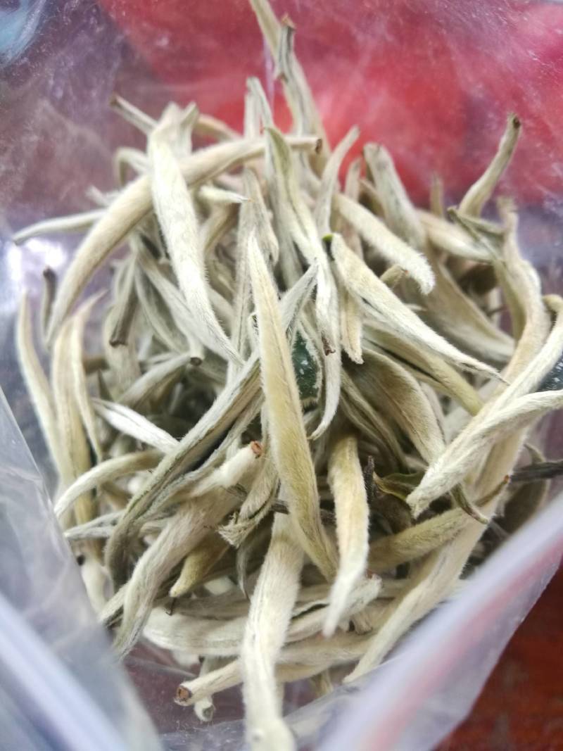 云南省西双版纳大白茶白豪银针