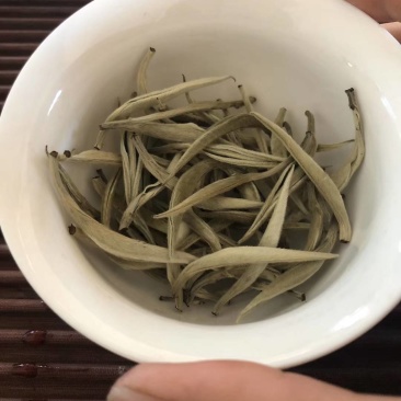 云南省西双版纳大白茶白豪银针