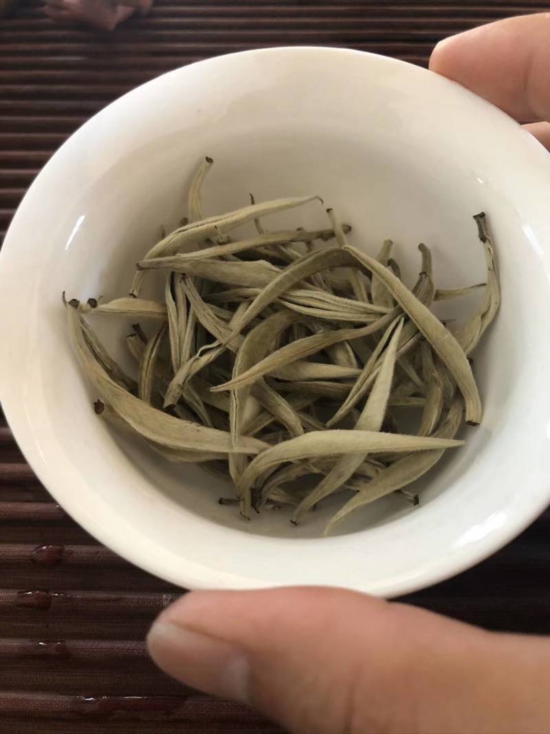 云南省西双版纳大白茶白豪银针