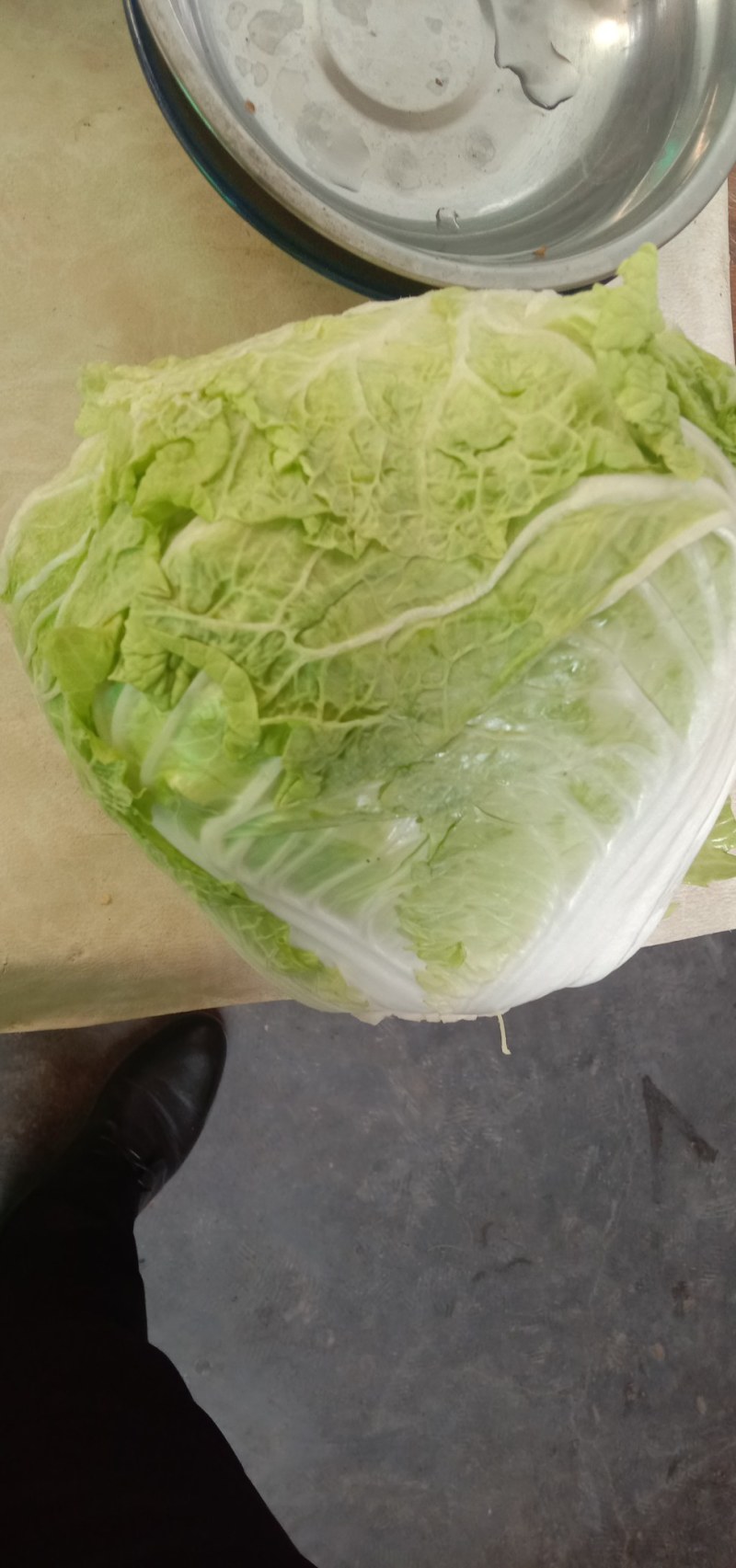 武陟优质大白菜，品质优良