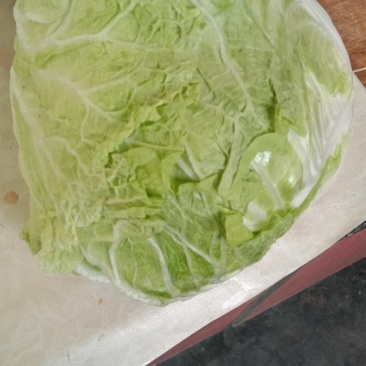 武陟优质大白菜，品质优良
