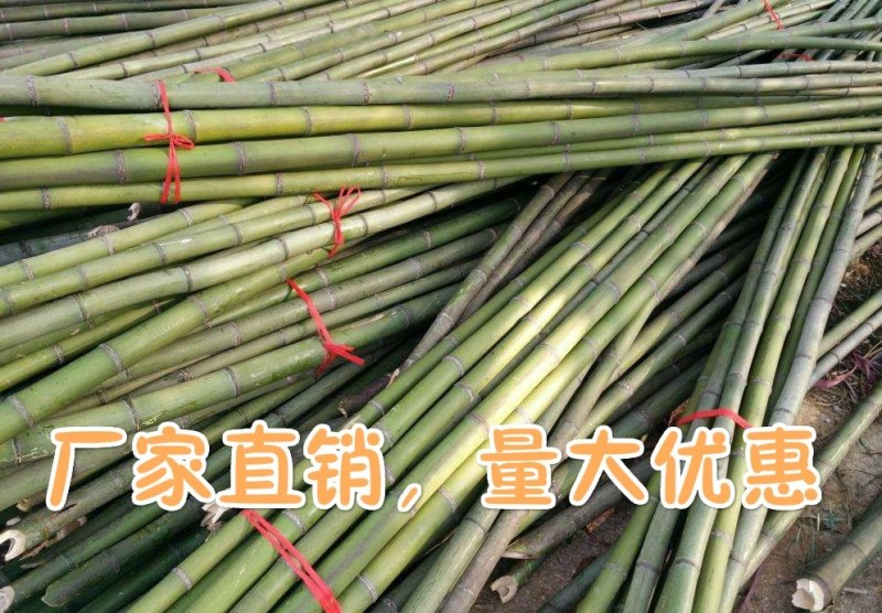 竹竿装饰潢小竹杆搭架子篱笆栅栏菜旗杆阳台植物爬藤花架