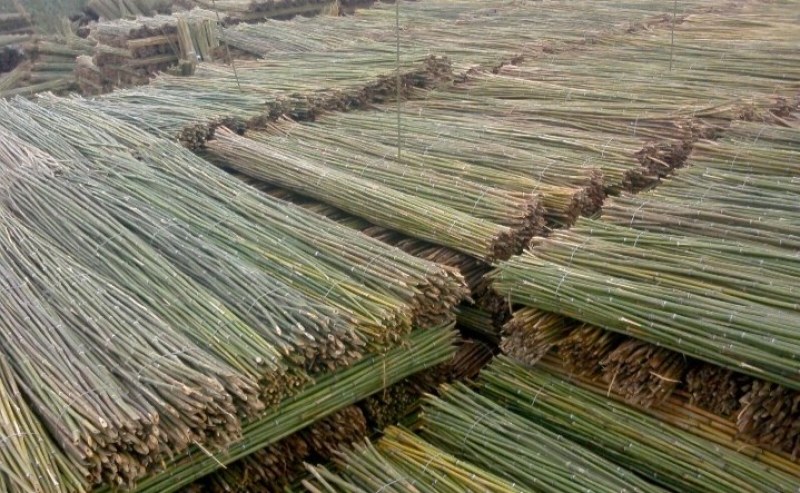 竹竿装饰潢小竹杆搭架子篱笆栅栏菜旗杆阳台植物爬藤花架