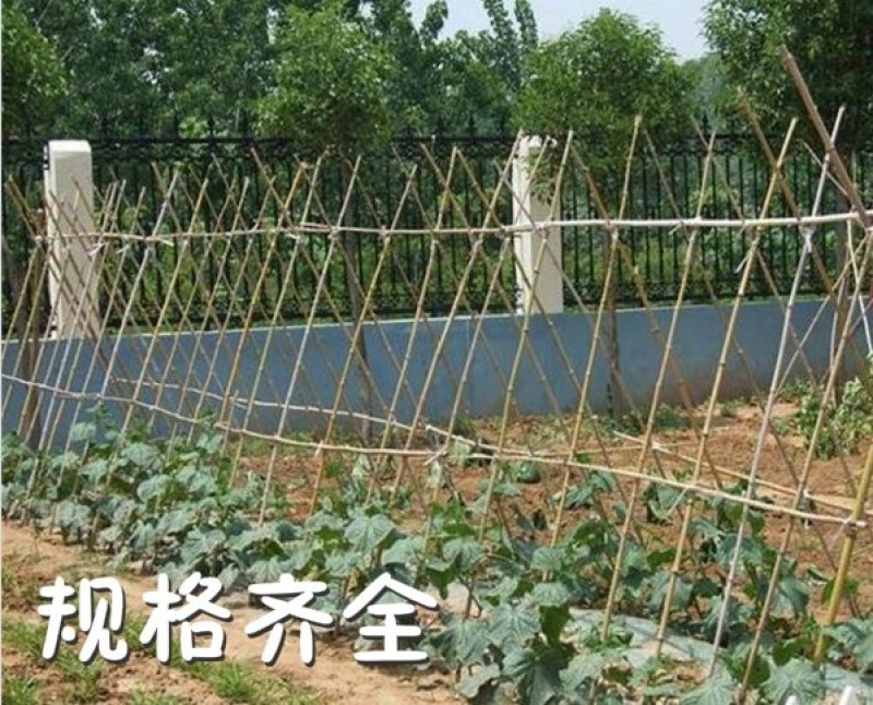 竹竿装饰潢小竹杆搭架子篱笆栅栏菜旗杆阳台植物爬藤花架