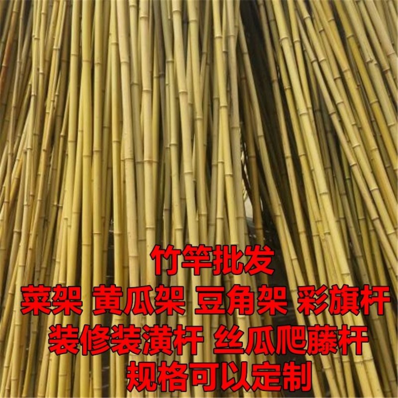 竹竿装饰潢小竹杆搭架子篱笆栅栏菜旗杆阳台植物爬藤花架