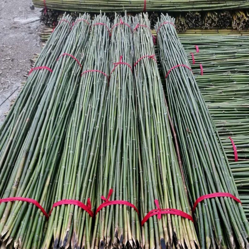 竹竿装饰潢小竹杆搭架子篱笆栅栏菜旗杆阳台植物爬藤花架