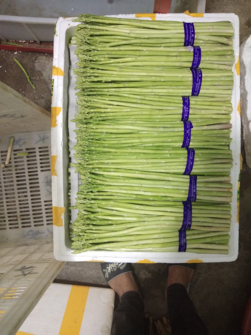 福建芦笋大量上市，走过路过不要错过。欢迎各位老板前来订购