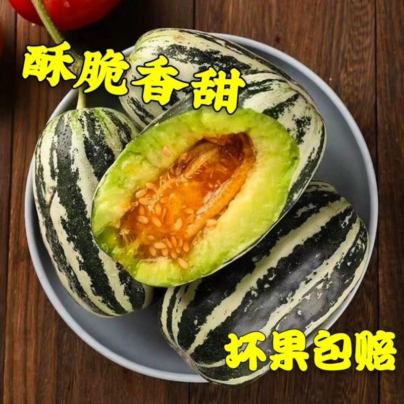 博洋九甜瓜羊角蜜大量现货