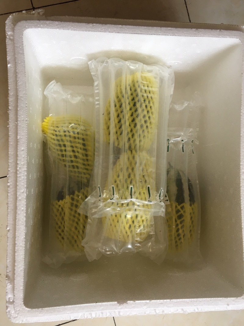博洋九甜瓜羊角蜜大量现货