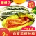 博洋九甜瓜羊角蜜大量现货