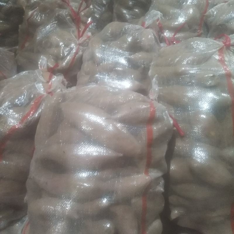 纯沙士地龙薯九红薯统货，支持各种包装，基地直批价格优惠