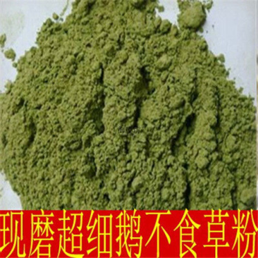 现磨中药材鹅不食草粉包邮正品鹅不食草粉饿不吃草