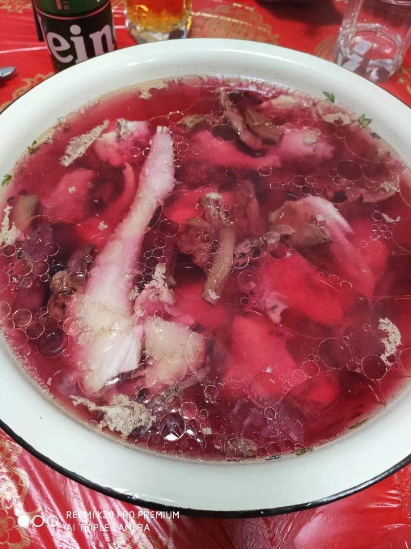 精品优质野生红菇批发零售皆可，可视频看货全国发货