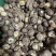 包邮茶花菇4-5厘米厚花菇冬菇2025新货